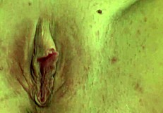 Three-way action with a brunette babe getting her pussy pounded hard