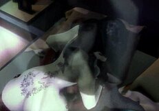 first night in heaven redo zer0-3d