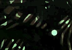 vintage erotic drawings