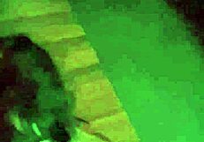 Beautiful bondaged tattooed girlfriend Sandraxo1 gives intense blowjob in homemade bondage scene