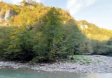 forest walk turns into intense outdoor fuck with sexy guide girl