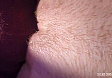 Having fun with pail pussy fuck and ass play, starting foreplay in doggystyle bent over.