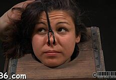 मीठी हसीना को प्लेगर्ल संग केज में फेंका हार्डकोर मुकाबले के लिए