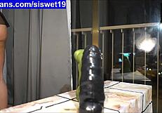 Training with big dildos in extreme teen 18+ pussy and assfucking web chat. Visit www.camgangster.com siswet19 for my free chatroom.