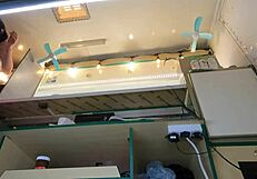 this crazy girl lets me upskirt her at work.