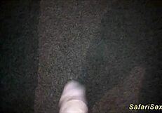 safari orgy features african babes with big cocks in group facial action. Monster cocks dominate the scene.