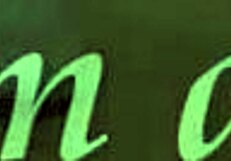 does skank amateur stepsister give lucky stepbrother blowjob?