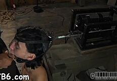 Gal receives a neck collar and legs widen wide open