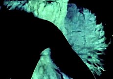 Hey, curious about my secret vintage tranny life without fanny?