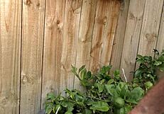 i can’t believe this trashy nz milf slut got banged everywhere with creampie