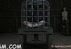 Slave Submits To Ball Licking And Sucking In BDSM Game