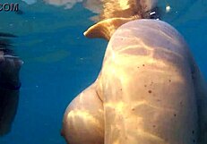 यार, पब्लिक बीच पर पानी में चुदाई और अंडरवाटर ब्लोजॉब बहुत जंगली था