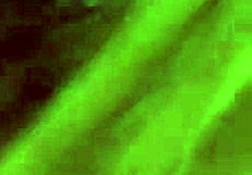 hey, check out beautiful mia panther in this steamy retro erotic scene