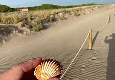 Gay Cruising PUBLIC GROUP BLOWJOBS With Cumshot!