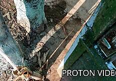 wife was alone and horny, called me to bareback fuck her in the shower.