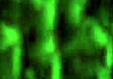 i can’t get enough of these vintage erotic drawings from way back