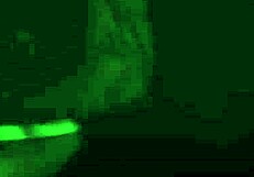 Allherluv com presents an eggasm surprise. Watch taboo licking with big and small tits in preview