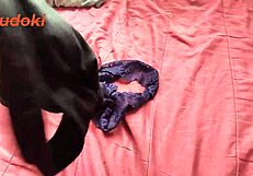 लैटिना मिल्फ ने वर्कआउट की जगह घर पर हार्डकोर चुदाई करवा ली