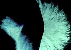 Dominate the Retro Scene With Vintage Milf Action