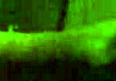 Hidden cam captures close-up sex action in secret spot