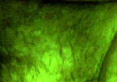 Hey, Check Out This Hot Viet Homemade Clip I Found