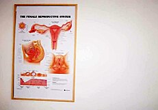 late night test turns into a steamy latina nurse striptease in hospital solo.