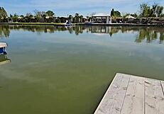 While sunbathing, he shoved his huge cock in my mouth for a wild fuck.