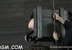 i indulge in sadomasochism with hardcore sucking and fucking