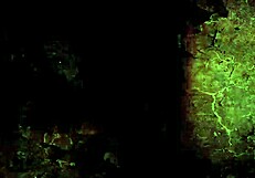 यो, इन पुराने सेक्सी ड्रॉइंग्स के बारे में बात करें, कितने मस्त हैं