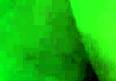 Watch her suck cock wet and horny in blowjob action!