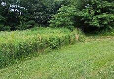 my wife’s flashing everyone in thong bikini at park