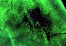 Stepmom Coco Vandi Seduces with After-School Bedroom Roleplay