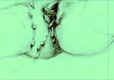 Vintage Erotic Drawings From Antique Anime Hentai