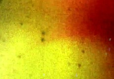 Unbelievable! Bobs Tgirls Stuffing Mari's Hole in Wild Asian Hardcore Action with Bareback Thrills!