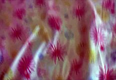 Amateur brunette teen masturbates alone in her bed.