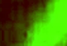 Petite Brunette Teen in Hardcore Doggy Style Fucking