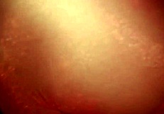 Got naked on camera, played with a bottle, then took a dick with sperm inside.