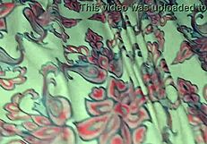 Two latino gays meet a worker at the fair for a steamy scene.