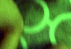 twink anal compilation featuring teen boys exploring rimjobs and deep creampie action in wild scenes