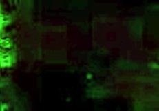 Exploring vintage illustrations from old cartoons and anime