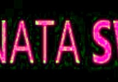 Amateur reverse cowgirl fuck with juicy creampie and cum dripping