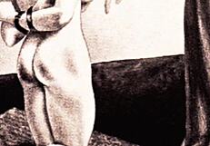 vintage erotic drawings collection