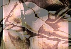 vintage erotic drawings collection