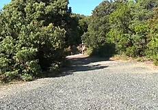 suzie q masturbates with dildo outdoors