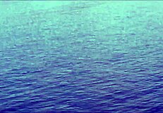 Get naked and shameless on Florianopolis beaches!