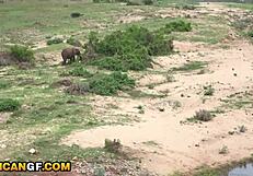 Is This Bratty African Hottie Ready For Her Pussy Wrecked In The Park?