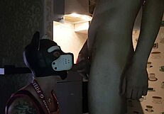 Asmodey and Jasper, the puppies, are cooking dinner together in the kitchen. They make quite a team!