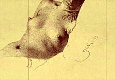 Check out this vintage erotic illustration from the old days