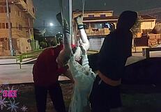 Curvy Tattooed Friends Flash Young Bodies in Public Backstage Group Fun