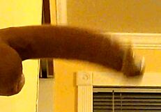 Can you believe this gay guy in hood deepthroating that dildo?